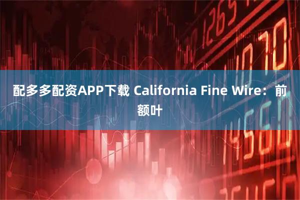 配多多配资APP下载 California Fine Wire：前额叶