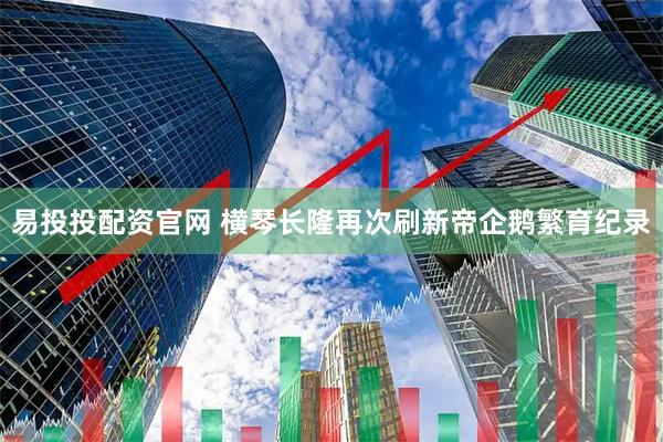 易投投配资官网 横琴长隆再次刷新帝企鹅繁育纪录