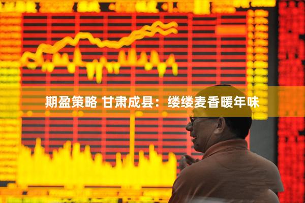 期盈策略 甘肃成县：缕缕麦香暖年味